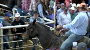 40 & Over- Jason Stewart Round 2- 2017 Duvall's Steer Wrestling Jackpot