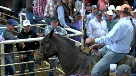40 & Over- Jason Stewart Round 2- 2017 Duvall's Steer Wrestling Jackpot