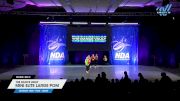 The Dance Vault - Mini Elite Large Pom [2025 Mini - Pom - Large Day 2] 2025 NDA All-Star National Championship