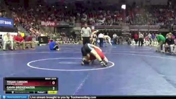 2 lbs Quarterfinal - Tegan Carson, Central Decatur vs Gavin Bridgewater, South Tama County