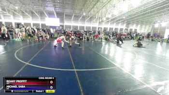 132 lbs Cons. Round 4 - Roany Proffit, WY vs Michael Saba, CO