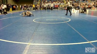 133 lbs Champ. Round 1 - Dane Nelson, Bismarck Century vs Jackson Alexander, Sheyenne