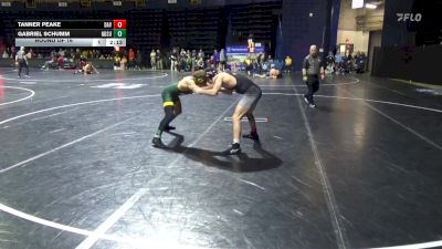 157 lbs Round Of 16 - Tanner Peake, Davidson vs Gabriel Schumm, North Dakota State