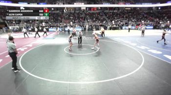 II-103 lbs Champ. Round 1 - Alyn Capen, Peru vs Kameron Anderson, Randolph