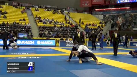 Andrew Wiltse vs Reyson Lima IBJJF 2017 World Championships