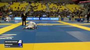 Todd Mathew Tokoyoshi vs Andrew Wiltse IBJJF 2017 World Championships