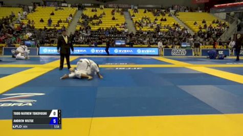 Todd Mathew Tokoyoshi vs Andrew Wiltse IBJJF 2017 World Championships