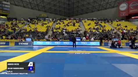 Andrew Wiltse vs Julian Vanderlinden IBJJF 2017 World Championships