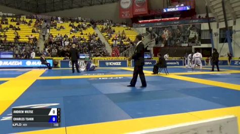 Andrew Wiltse vs Charles Tsakh IBJJF 2017 World Championships