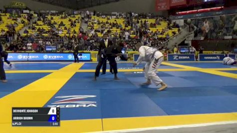 Arrion Brown vs Devhonte Johnson IBJJF 2017 World Championships