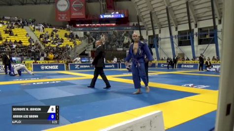 Devhonte M. Johnson vs Arrion Aziz Brown IBJJF 2017 World Championships