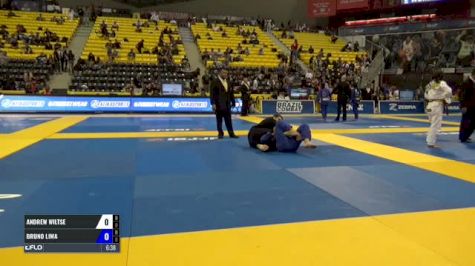 Andrew Wiltse vs Bruno Lima IBJJF 2017 World Championships