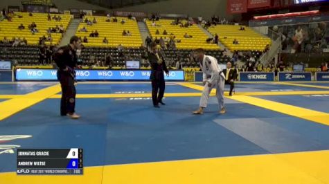 Jonnatas Gracie vs Andrew Wiltse IBJJF 2017 World Championships