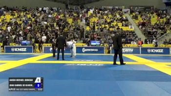 Aaron Michael Johnson vs Joao Gabriel De Oliveira Rocha IBJJF 2017 World Championships