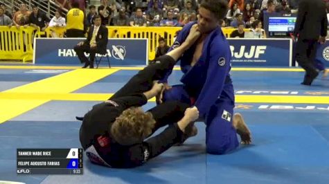 Tanner Wade Rice vs Felipe Augusto Farias IBJJF 2017 World Championships