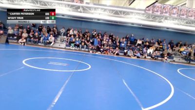 175 lbs Round 2 - Carter Peterson, Grand Island vs Wyatt True, Liberty North