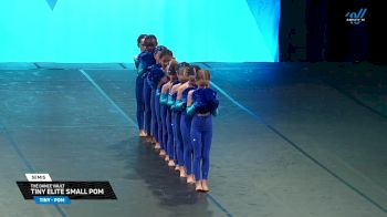 The Dance Vault - Tiny Elite Small Pom [2025 Tiny - Pom Semis] 2025 The Dance Summit