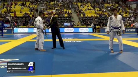 Julio Souza Arantes vs Andy Thomas Murasaki Pereira IBJJF 2017 World Championships