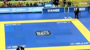 Erberth Santos De Mesquita vs Fernando Andrade Dos Reis IBJJF 2017 World Championships
