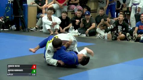 ANDREW WILTSE vs MATEUS RODRIGUES ROYAL II