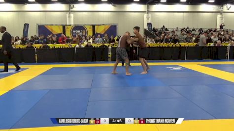 Phong Thanh Nguyen vs Adair Jesus Roberto-Garcia 2024 World IBJJF Jiu-Jitsu No-Gi Championship