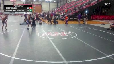 133 lbs Quarterfinal - Gage Walker, Missouri vs Sean-Michael Gonzalez, Carl Albert