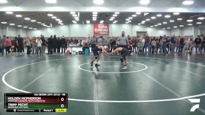 98 lbs Cons. Round 3 - Holden McPherson, Hanover Hawkeye Youth Wrestlin vs Tripp Pecht, Dinwiddie Mat Rats