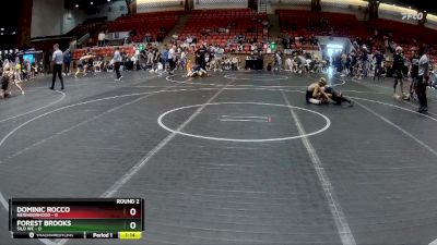 72 lbs Round 2 (6 Team) - Dominic Rocco, Neighborhood vs Forest Brooks, Silo WC