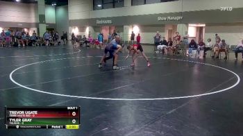 106 lbs Round 1 (16 Team) - Tyler Gray, Yuligan vs Trevor Ugate, Terre Haute Red