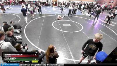 98 lbs Quarterfinal - Cole Jensen, Rocky Mountain vs Brayden Harrison, Hermiston