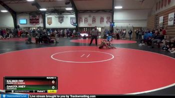 106 lbs Round 3 - Dakota Aney, Mediapolis vs Kaliber Fry, Prairie City Monroe