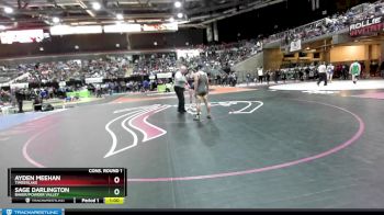 132 lbs Cons. Round 1 - Sage Darlington, Baker/Powder Valley vs Ayden Meehan, Timberlake