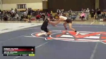 141 lbs Champ. Round 1 - Robert Palmieri, Baldwin Wallace vs Bryce Vollman, Delaware Valley