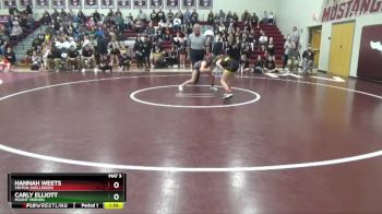 100 lbs Quarterfinal - Hannah Weets, Vinton-Shellsburg vs Carly Elliott, Mount Vernon