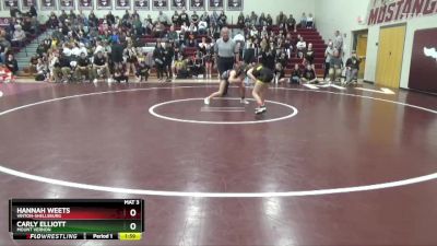 100 lbs Quarterfinal - Hannah Weets, Vinton-Shellsburg vs Carly Elliott, Mount Vernon