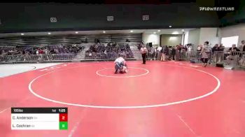 195 lbs Consi Of 16 #2 - Christian Anderson, GA vs Luke Cochran, GA