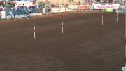 2017 IFYR - Performance 3 - Pole Bending