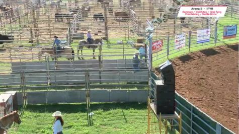2017 IFYR - Performance 6 - Goat Tying