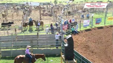 2017 IFYR - Performance 6 - Pole Bending