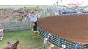 2017 IFYR - Performance 10 - Goat Tying