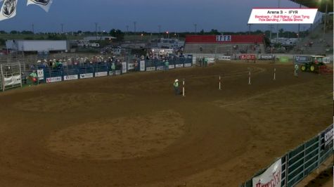 2017 IFYR - Performance 9 - Pole Bending