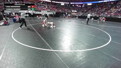 144 lbs Quarters - Carson Neubert, Luxemburg-Casco vs Cole DuChateau, Arrowhead