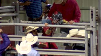 2017 AJRA Finals, Friday - Rodeo Performance, Calf Riding