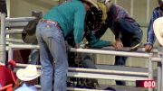 2017 AJRA Finals, Saturday - Performance 2, Bull Riding