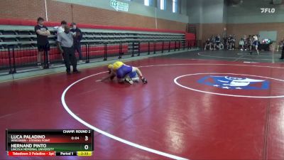 125 lbs Champ. Round 2 - Luca Paladino, Wisconsin - Stevens Point vs Hernand Pinto, Lincoln Memorial University