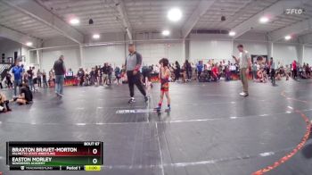 45 lbs Round 5 - Braxton Bravet-Morton, Palmetto State Wrestling vs Easton Morley, NoWorries Academy