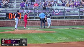 Replay: Tampa vs Montevallo | Feb 8 @ 1 PM