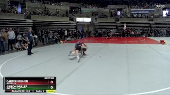 115 lbs 1st Place Match - Carter Kremer, Rocori vs Gideon Muller, Pine Island