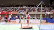 Chiaki Hatakeda - Bars, Japan - AA Competition, 2017 International Junior Japan