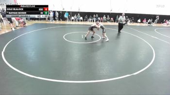 133 lbs Champ. Round 2 - Nathan Moser, Baldwin Wallace vs Cole Blalock, Huntingdon